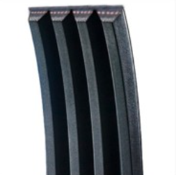 Cinghie a nervature Poly-V