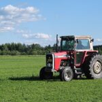Trattore Massey Ferguson con falciatrice a dischi montata posteriormente al lavoro in un prato