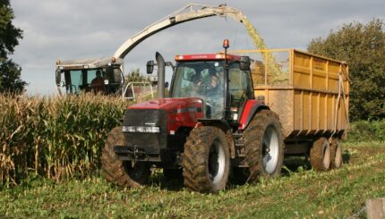Trinciacaricatrice e trattore con rimorchio durante la raccolta del mais in un campo inglese